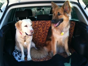 Sandie and Connie Sandie and Connie in the boot of a car