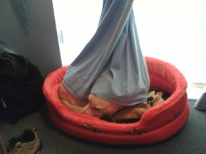 Sandie in bed Sandie in bed with a curtain also twirled around on top of her