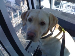 Sandie on big wheel Sandie looking into the camera while the pod of the big wheel is up in the air