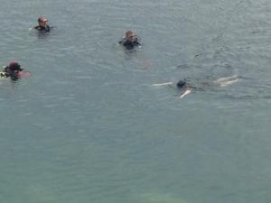 Kirsty swimming in a quarry accompanied by three divers