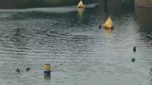 Kirsty swimming alone in a quarry 