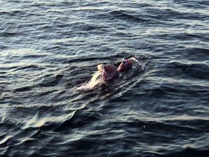 Nicola swimming in the Channel